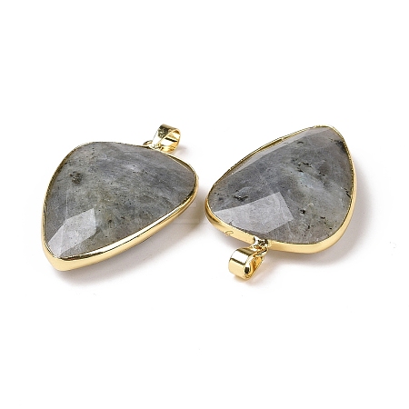 Faceted Natural Labradorite Pendants X-G-F340-02D-1