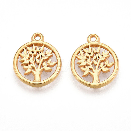 304 Stainless Steel Charms STAS-N109-90G-1