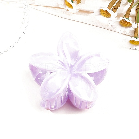 Resin Claw Hair Clips PW-WG0E0E6-08-1