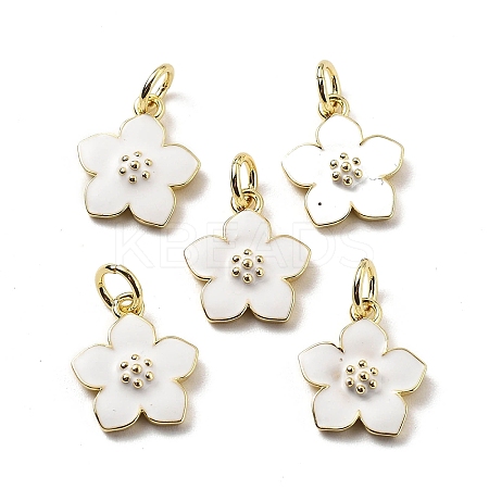 Brass Enamel Charms KK-Z114-23G-02-1