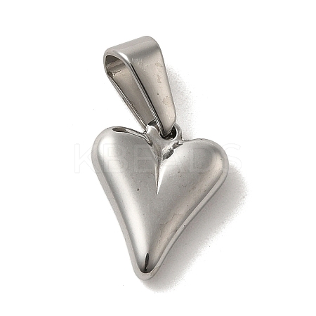 Non-Tarnish 304 Stainless Steel Charms LS-STAS-B053-12P-1