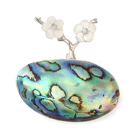 Natural Paua Shell Brooches JEWB-E031-06P-1