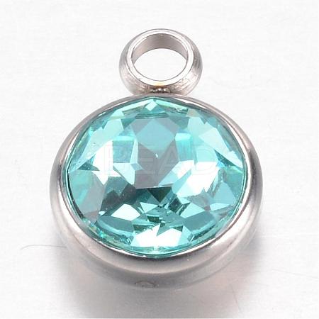 304 Stainless Steel Glass Rhinestone Charms STAS-G082-01-1