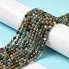 Natural Moss Agate Beads Strands G-H302-A03-01-2