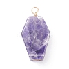 Natural Gemstone Pendants PALLOY-JF01403-2