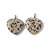 Natural Dalmatian Jasper Pendants G-G956-B60-FF-2