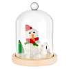 Glass Dome Cover AJEW-WH0348-293D-1