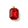 316 Stainless Steel Faceted Glass Pendants STAS-K258-48G-2