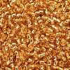 TOHO 8/0 Round Beads SEED-TR08-0022B-2