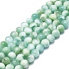Natural Glass Beads Strands G-K245-A13-04-1