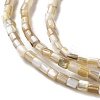 Natural Freshwater Shell Beads Strands SSHEL-B002-17-3