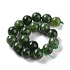 Dyed Natural Malaysia Jade Beads Strands G-G021-02C-13-3