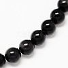 Grade AA Natural Obsidian Round Beads Strands G-L275-03-10mm-1