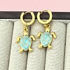 201 Stainless Steel Enamel Hoop Earrings FS-WG6C184-03-1