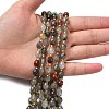 Natural Bloodstone/Heliotrope Stone Beads Strands G-F809-A13-01-6