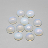 Opalite Cabochons G-R416-12mm-49-1