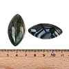 Natural Brazilian Agate Cabochons X-G-S295-02-3