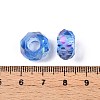 Transparent Glass European Beads GPDL-N005-D14mm-A13-3