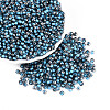 Transparent Inside Colours Glass Seed Beads SEED-T007-19A-08-3