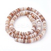 Shell Beads Strands SSHEL-E571-49D-2