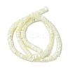 1 Strand Natural Trochid Shell/Trochus Shell Beads Strands SSHEL-YW0001-12B-1