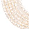 Natural Cultured Freshwater Pearl Beads Strands PEAR-F020-07-4