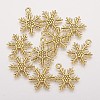 Tibetan Style Alloy Pendants LS-TIBEP-3264-AG-NR-1