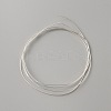 999 Fine Silver Rectangle Flat Wire STER-WH0010-12A-S-1