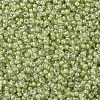 MIYUKI Round Rocailles Beads SEED-G007-RR0378-3
