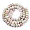 Ombre Effect Dyed Glass Beads Strands LS-GLAA-C023-02-B03-2