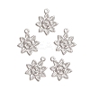Tarnish Resistant 304 Stainless Steel Pendants STAS-M274-036P-1