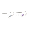 316 Surgical Stainless Steel Earring Hooks X-STAS-E044-02P-2