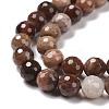 Natural Petrified Wood Beads Strands G-E571-27B-4