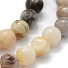 Natural Bamboo Leaf Agate Beads Strands G-G763-03-10mm-3