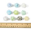 10Pcs 10 Colors Resin Beads RESI-FS0002-24A-5