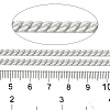 Spray Painted 304 Stainless Steel Curb Chains STAS-B067-05B-09-2