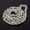 Natural Rainbow Moonstone Beads Strands X-G-A200-02-6