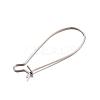 Tarnish Resistant 304 Stainless Steel Hoop Earrings STAS-D429-64-1