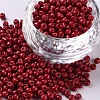Baking Paint Glass Seed Beads SEED-S002-K14-1