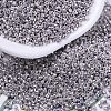 MIYUKI Delica Beads SEED-MY11-DB0429-1