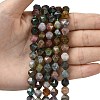 Natural Indian Agate Beads Strands G-Z119-A29-02-2
