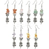 Natural Mixed Stone Chip Dangle Earrings Set for Women EJEW-JE06248-2