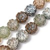 Painted Glass Beads Strands GLAA-B037-12A-12A-1