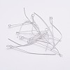 Iron Eye Pin EPS5.0cm-1