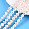 Natural Cultured Freshwater Pearl Beads Strands PEAR-N016-09B-1