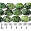 Natural Variscite Beads Strands G-D067-H02-A01-5