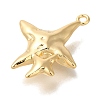 Brass Pendants KK-K389-031G-2