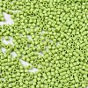 FGB 11/0 Grade A Glass Seed Beads X-SEED-S030-1013-2