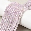 Natural Kunzite Beads Strands G-A293-A01-01-1