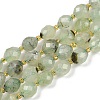 Natural Prehnite Beads Strands G-N342-149I-25-2